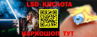 гидра Кандалакша