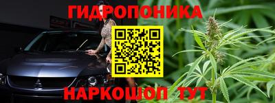 гидра Камышлов