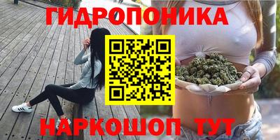 гидра Камышлов