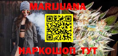 гидра Камышлов