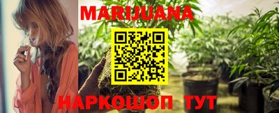 гидра Камышлов