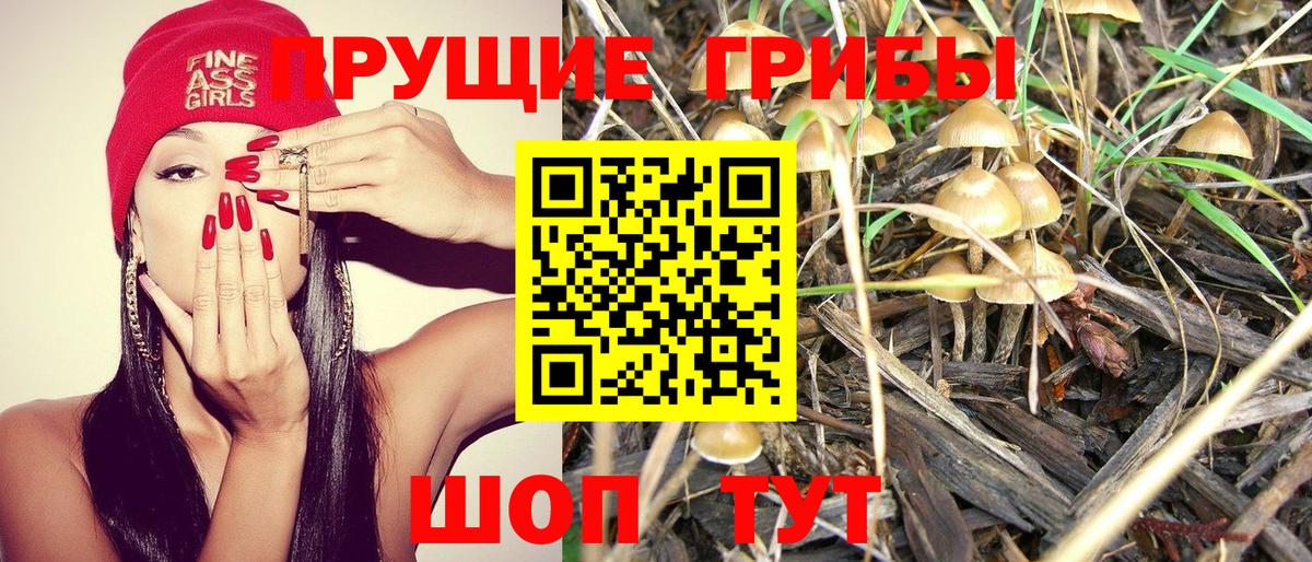 Галлюциногенные грибы GOLDEN TEACHER Барабинск