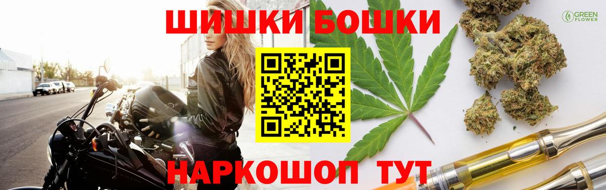 Бошки Шишки планчик Барабинск